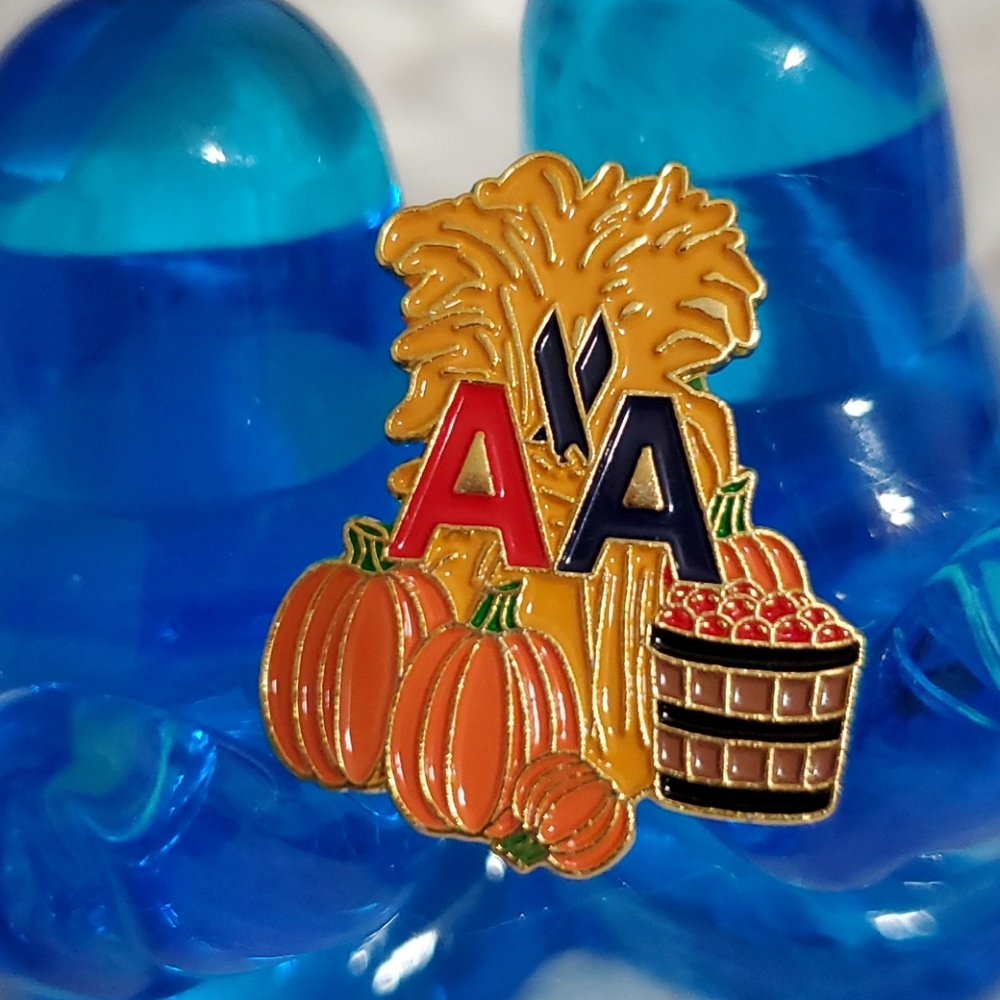 AMERICAN AIRLINES Legacy logo Autumn pumpkin seasonal Holiday pin Thanksgiving